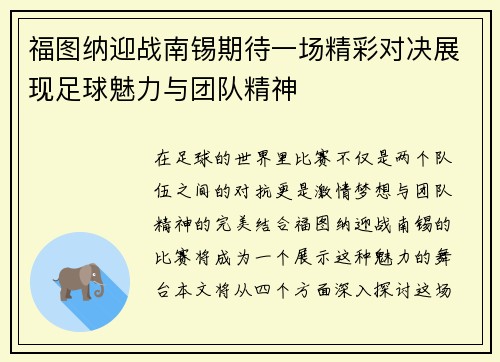 福图纳迎战南锡期待一场精彩对决展现足球魅力与团队精神